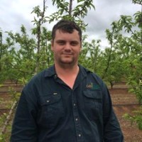 Cutri Fruit Employee David Holmes's profile photo