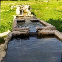 Maria Sánchez Vázquez's profile photo