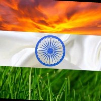ThreadSol Employee Tripurari Singh's profile photo