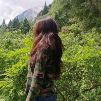 Simran Shukla Email