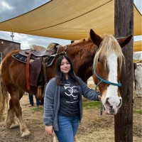 Vergi 24/7 Employee Rebeka Cortes's profile photo