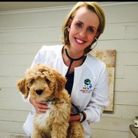 Other / Not Listed Employee Mary Todd's profile photo