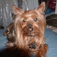 Supervised Visitation Services Employee Ellen Gold's profile photo