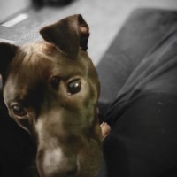 Dinesol Plastics Employee Anthony Maloney's profile photo
