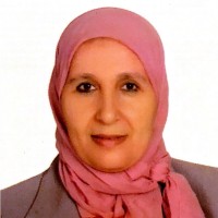 Hala Elmorshedy Email