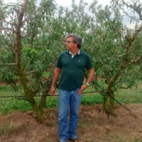 SeeTree Employee Francisco Maschio's profile photo