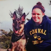 Haley Kashulines Email
