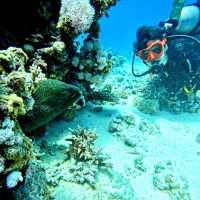Colegio San Jorge Employee María Ángeles Novella Navarro's profile photo