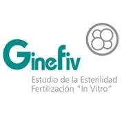 Gine Fiv