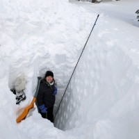 Kathryn McNeal Email & Phone Number