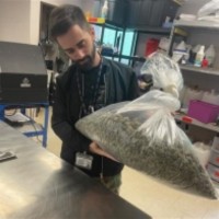 Garden Greens, LLC Employee Joe Lorusso's profile photo