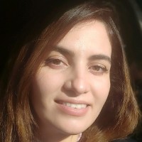 Faten Hamdi Email