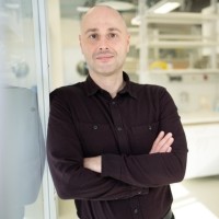 Vincenzo de Rocchis Email