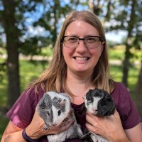 Anna Griffin Email & Phone Number