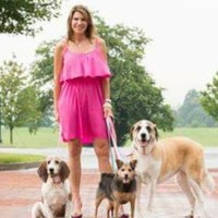 Herregan Distributors, Inc. Employee Nicole Collins's profile photo