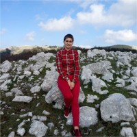 Katie Bryant Email