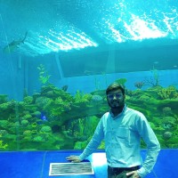 Kushal Doshi Email