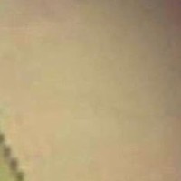 Ethan Root Email & Phone Number