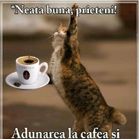 Xerium Technologies Employee Sorina Paraschiv's profile photo