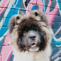 Just Digital People Employee Pablo's profile photo