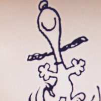 USPS OIG Employee Heidi Kaiser's profile photo