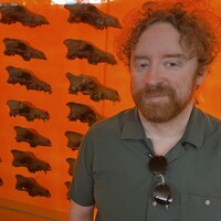 Peter Woodman Email & Phone Number