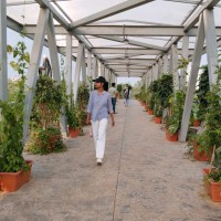 Venturesathi Employee Sipra Pradhan.'s profile photo