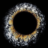 Alter K Employee Célian Marchais's profile photo