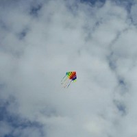 Trevor Halstead Email & Phone Number