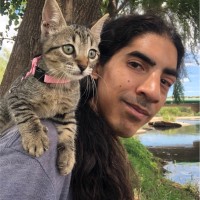 Christian Moreno Email