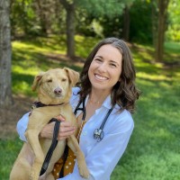 Lien Animal Clinic Employee Kellie Wood's profile photo