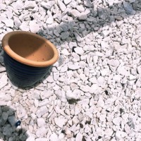 American Behavioral Health Systems Employee Tom Tarpley's profile photo