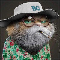 Dimension Employee Yong Zhang's profile photo