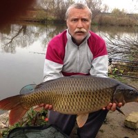 Organica Water Employee Pál Farkas's profile photo