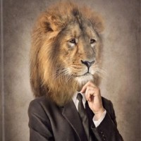 Trust Wallet Employee Ferdi̇ Çaglar's profile photo