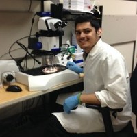 UC Irvine Employee David Razo's profile photo