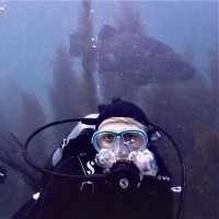 Catalina Island Marine Institute Employee Bert Bacskai's profile photo