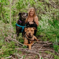Trupanion - Medical Insurance for your Pet Employee Lee Head's profile photo
