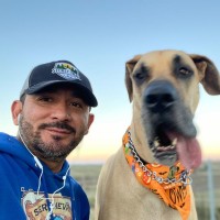 Erick Nielsen Enterprises, Inc. Employee Eugenio Villicana's profile photo