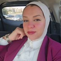 Safaa Saleh Email