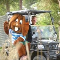 De Beerze Bulten Employee Gerrit-Jan Hagedoorn's profile photo