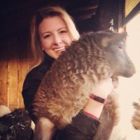 Jefferson County, Colorado Employee Allison Hatch's profile photo