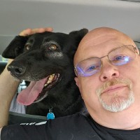 William Hino Email & Phone Number