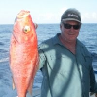 Meisner Electric Inc. Employee Peter BOURASSA's profile photo