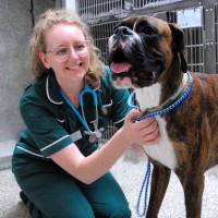 Eastcott Veterinary Referrals Employee Hannah Smart's profile photo