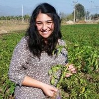 Hortitec Employee Catalina Maltrana Chavez's profile photo