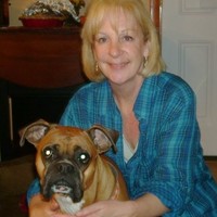 William J Lynch Insurance Agency, Inc. Employee Eileen Lubas's profile photo