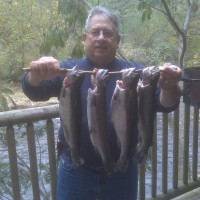 Ron Limuti Email & Phone Number