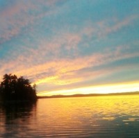 Shawn Stuart Email & Phone Number