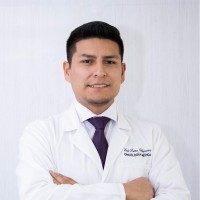 Luis Puma Villanueva Email
